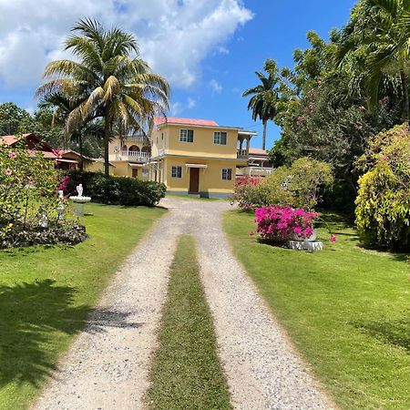 Little Shaw Park Guest House Ocho Ríos Extérieur photo