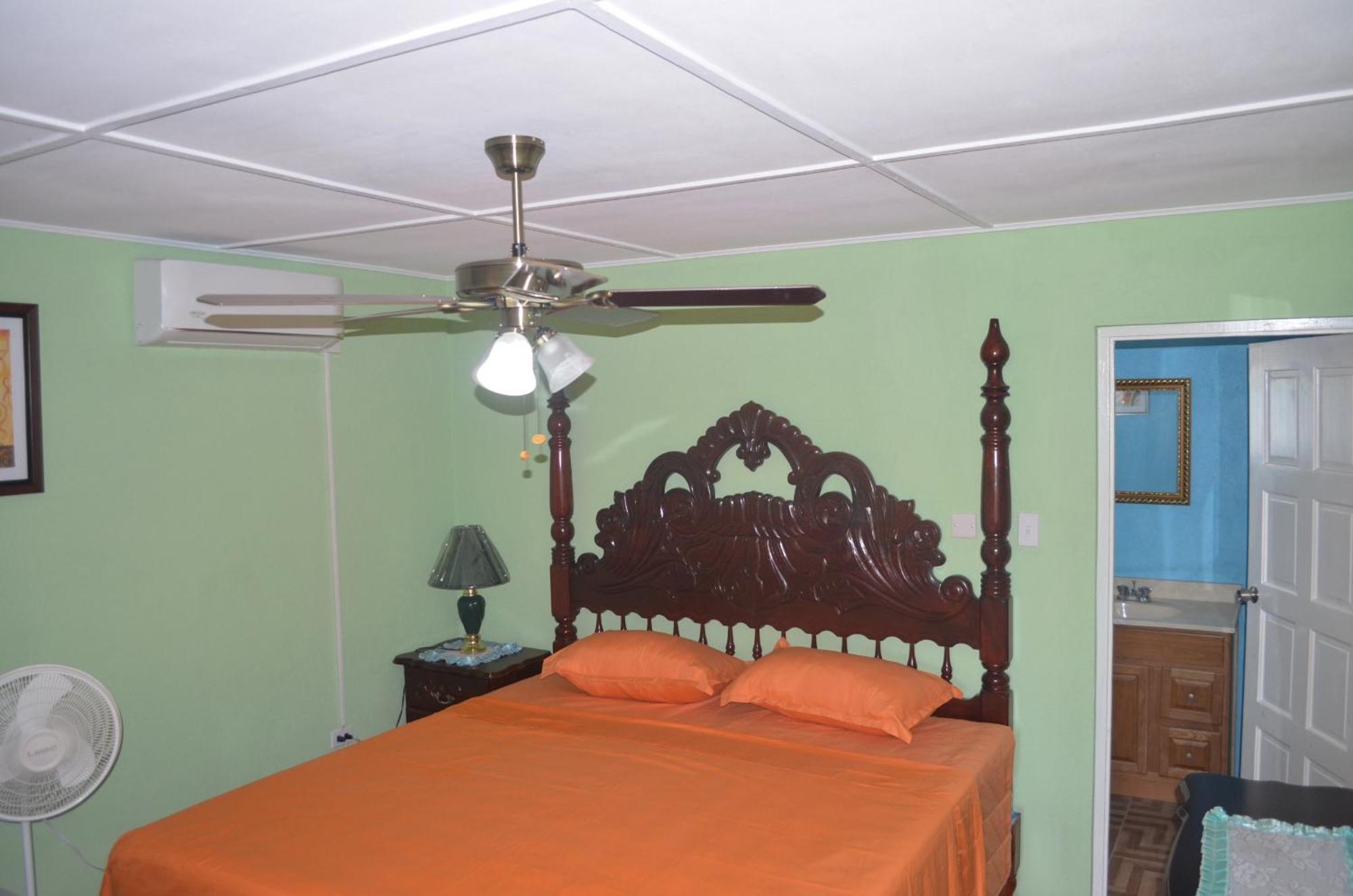 Little Shaw Park Guest House Ocho Ríos Extérieur photo