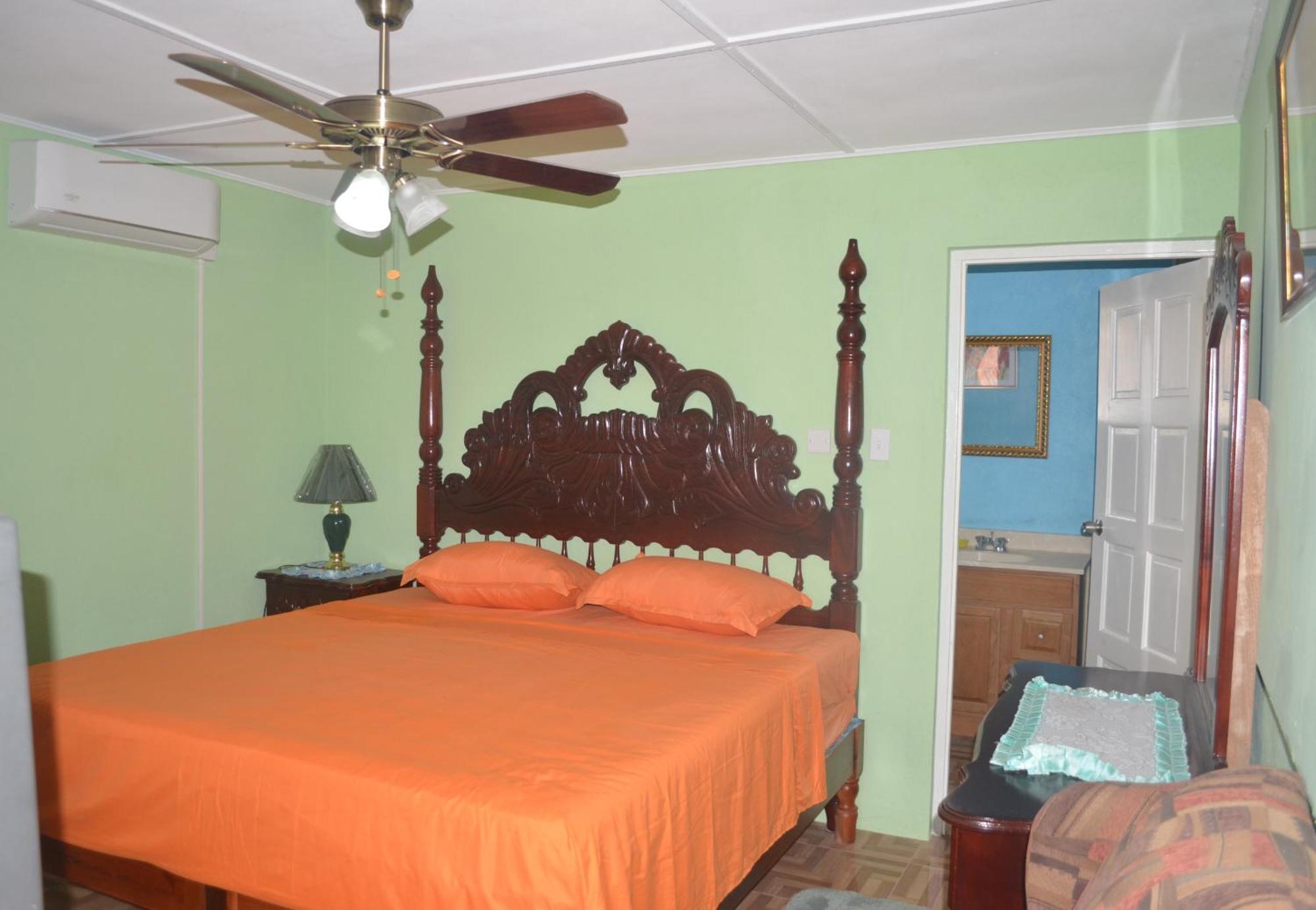 Little Shaw Park Guest House Ocho Ríos Extérieur photo