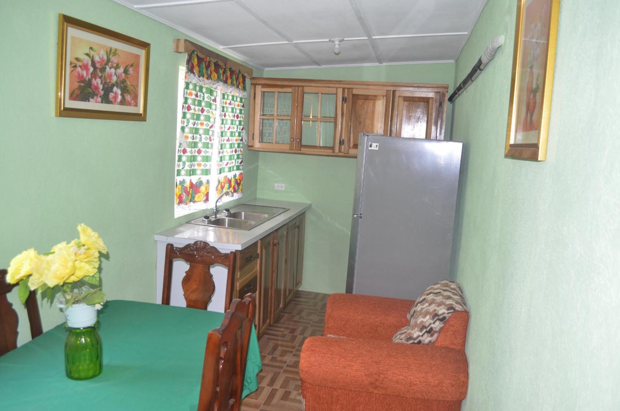 Little Shaw Park Guest House Ocho Ríos Extérieur photo