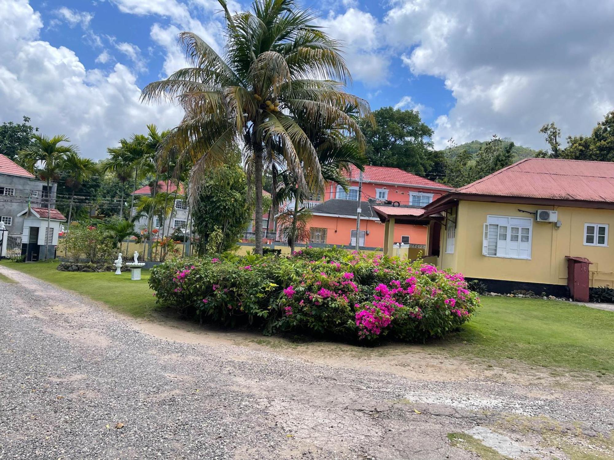Little Shaw Park Guest House Ocho Ríos Extérieur photo